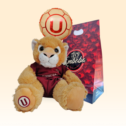 PELUCHE DE UNIVERSITARIO